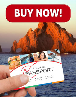 Buy Now Los Cabos Passport card