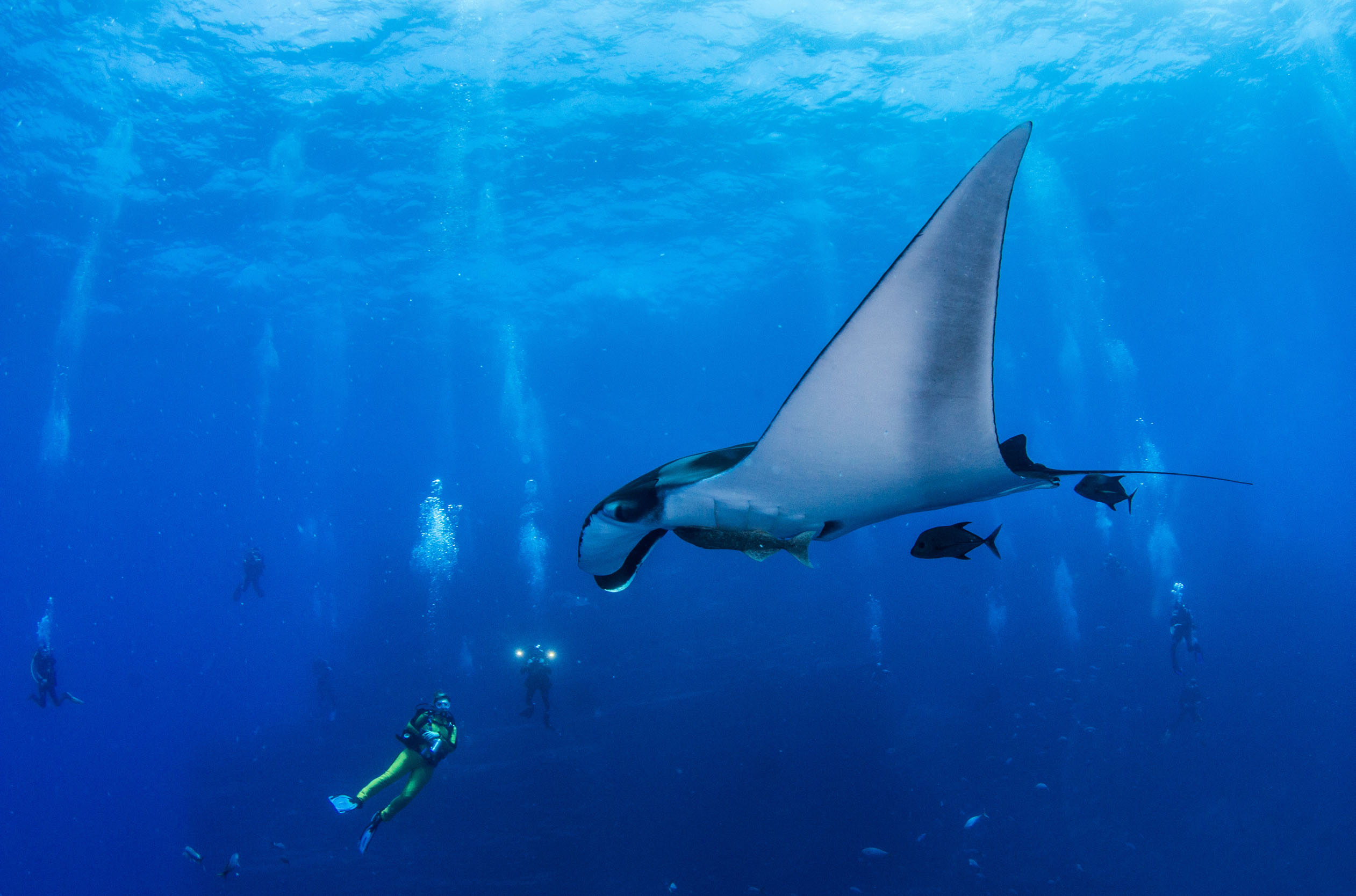 Nautilus Dive Tech Discover Scuba Diving