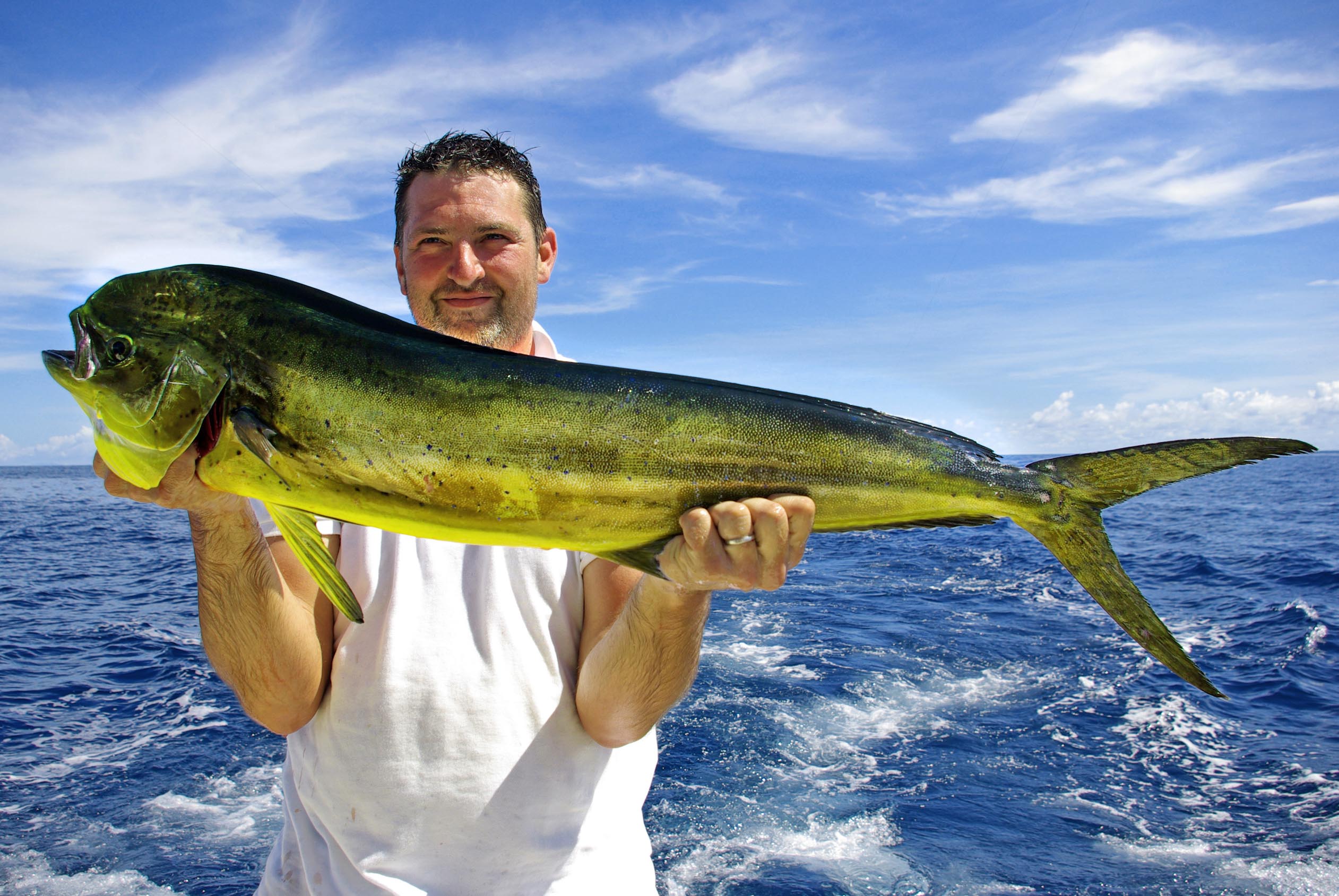 Fishing Charters In Cabo San Lucas