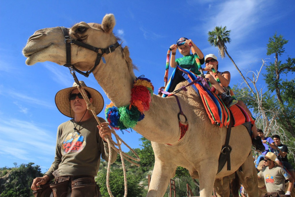 Things To Do in Cabo San Lucas with Kids