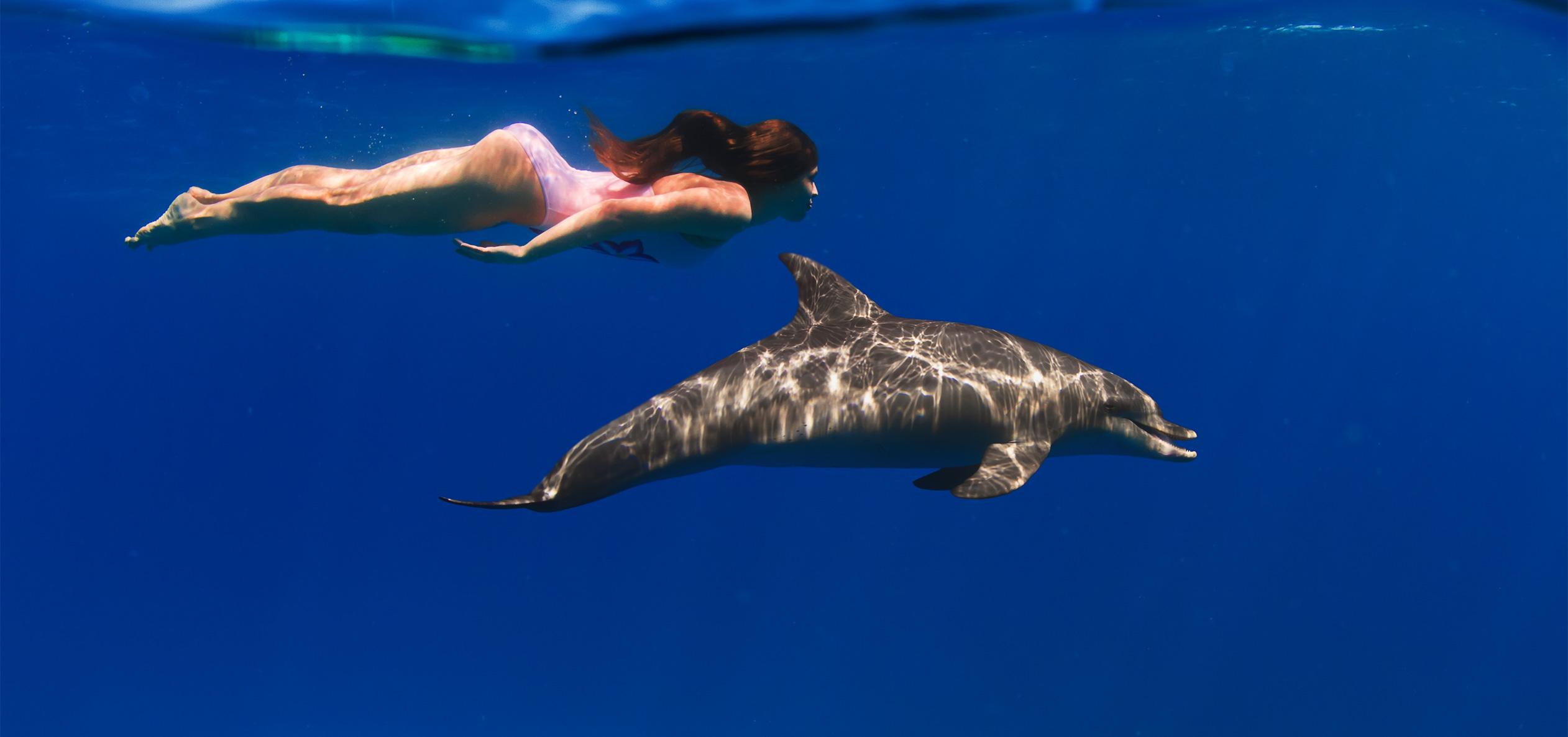 Swimming With Dolphins in Los Cabos
