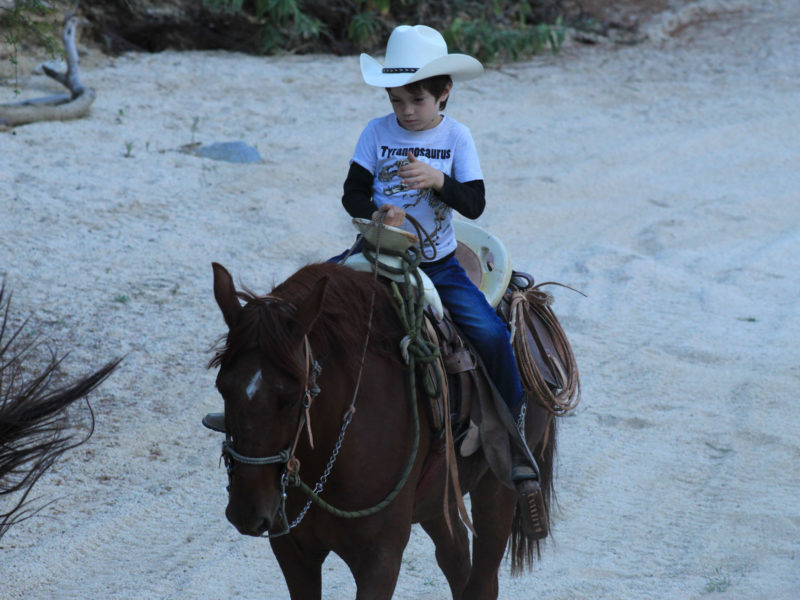 Wild Canyon Horseback Riding Tour