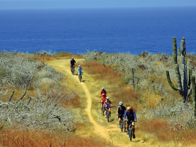 Mountain-Bike-Cabo-Adventures1