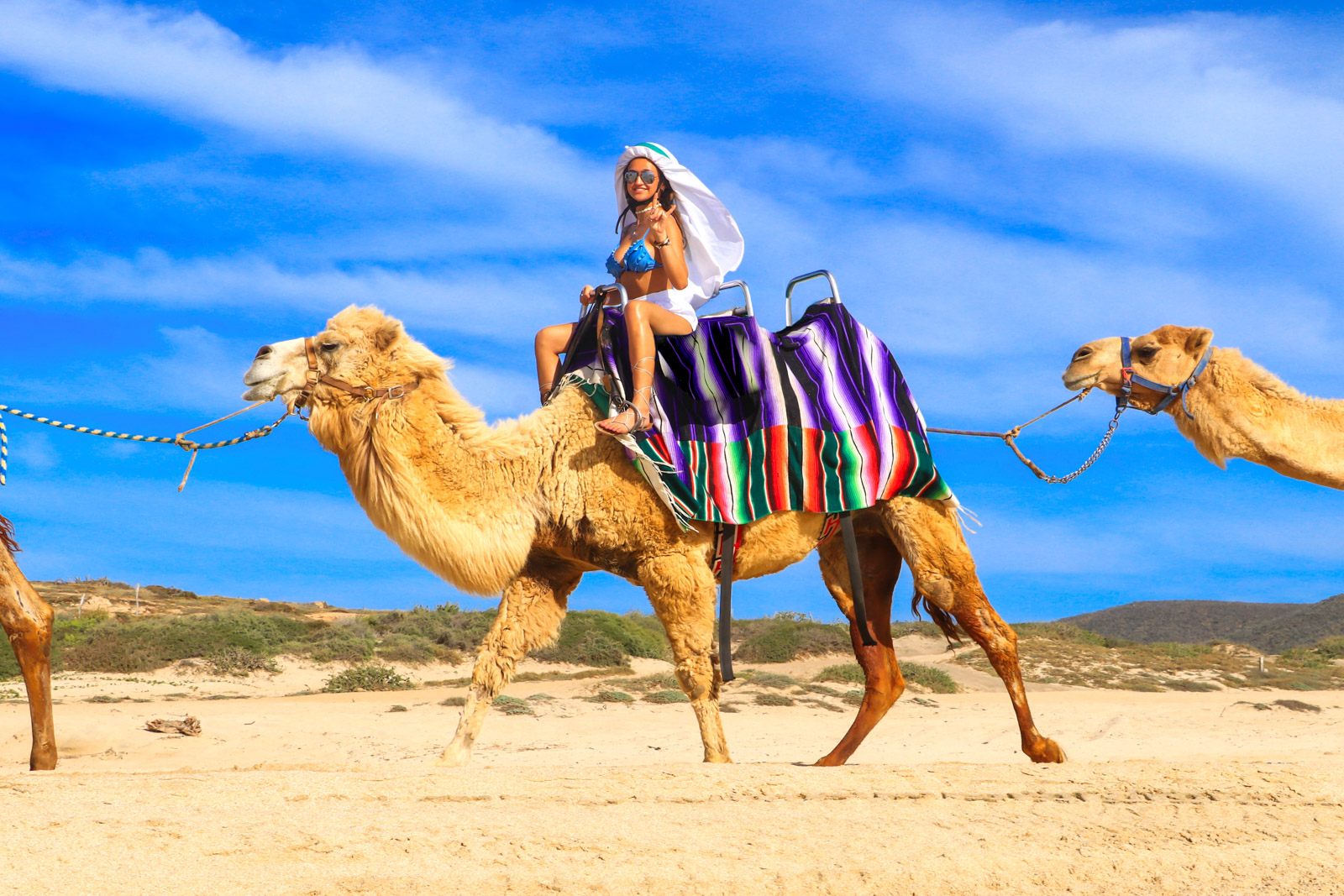 camel safari los cabos